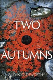 Two Autumns: Andy Goldsworthy 1992 on netflix