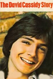 The David Cassidy Story 2000 on netflix