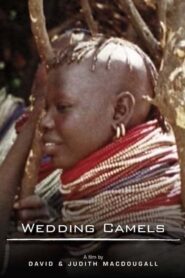 The Wedding Camels 1980 on netflix