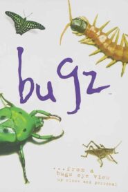 Bugz 1996 on netflix
