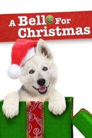 A Belle for Christmas 2014 on netflix