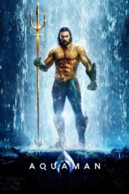 Aquaman 2018 on netflix