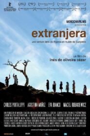 Foreigner 2008 on netflix
