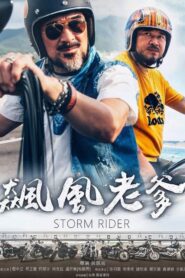 飙风老爹 2017 on netflix