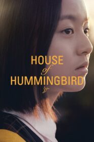 House of Hummingbird 2019 on netflix