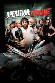 Operation: Endgame 2010 on netflix