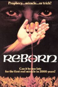 Reborn 1981 on netflix
