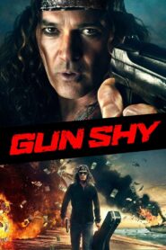 Gun Shy 2017 on netflix