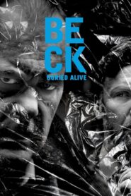 Beck 26 – Buried Alive 2010 on netflix