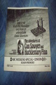 The Adventures of Con Sawyer and Hucklemary Finn 1985 on netflix
