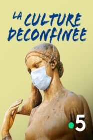 La culture déconfinée 2020 on netflix