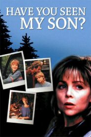 Have You Seen My Son 1996 on netflix