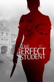 The Perfect Student 2011 on netflix