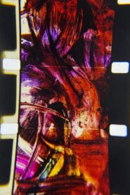 Sexual Saga 1996 on netflix