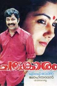 Chakoram 1994 on netflix