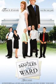 The Singles 2nd Ward 2007 on netflix