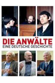 The Lawyers 2009 on netflix