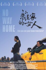 No Way Home 2012 on netflix