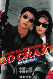 GO CRAZY 銃弾を駆け抜けろ！ 1996 on netflix
