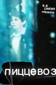 PizzaBoy 2011 on netflix
