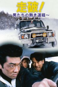 The Whole Distance 1991 on netflix