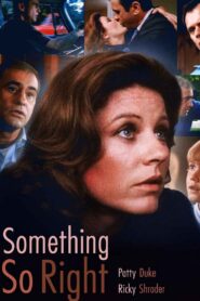 Something So Right 1982 on netflix