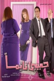 My Sleeping Lover 2009 on netflix
