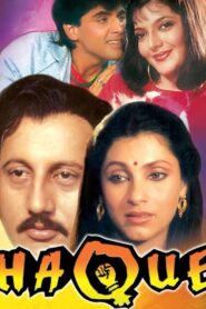 Haque 1991 on netflix