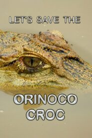 Let’s Save the Orinoco Croc 2010 on netflix