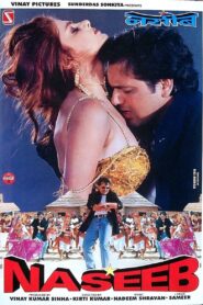 Naseeb 1998 on netflix