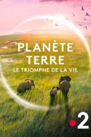 Planète Terre, le triomphe de la vie 2024 on netflix