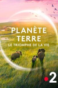 Planète Terre, le triomphe de la vie 2024 on netflix