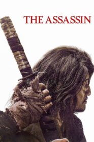The Assassin 2023 on netflix