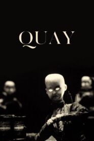 Quay 2015 on netflix