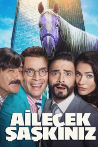 What a Crush 2018 on netflix