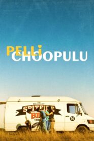 Pelli Choopulu 2016 on netflix