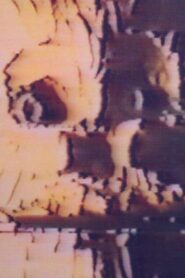 Horror Diary 1993 on netflix