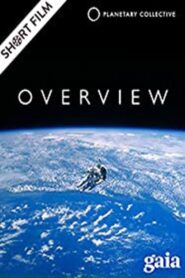 Overview 2012 on netflix
