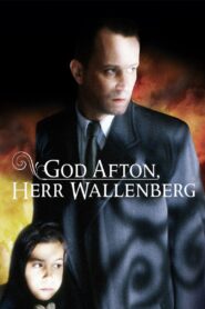Good Evening, Mr. Wallenberg 1990 on netflix