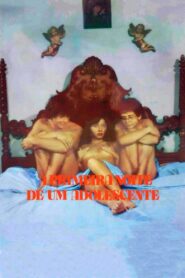 A Primeira Noite de um Adolescente 1982 on netflix