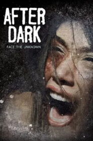 After Dark 2013 on netflix