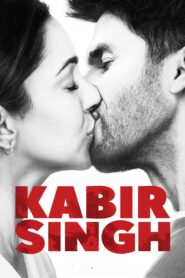 Kabir Singh 2019 on netflix