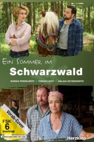 Ein Sommer im Schwarzwald 2024 on netflix