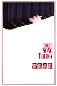 Torch Song Trilogy 1988 on netflix