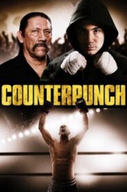 Counterpunch 2013 on netflix
