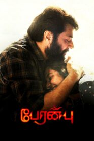 Peranbu 2019 on netflix