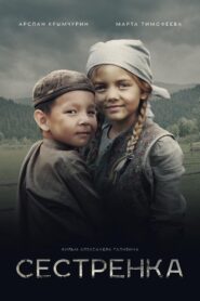 Sister 2019 on netflix
