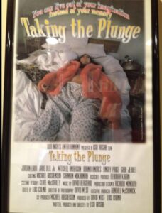 Taking the Plunge 1999 on netflix