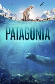 Patagonia: Life on the Edge of the World 2022 on netflix
