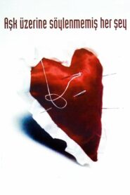Aşk Üzerine Söylenmemiş Her Şey 1995 on netflix